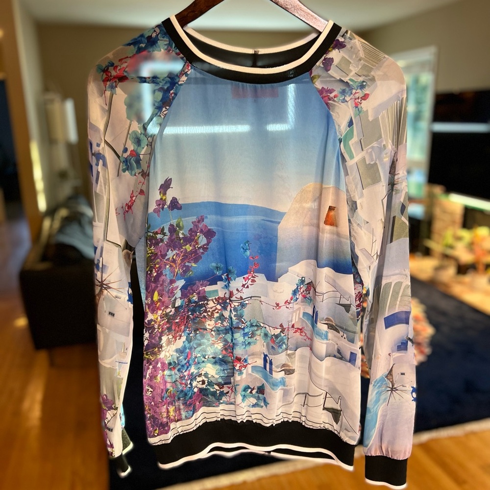 Clover canyon sheer Santorini accent sweater